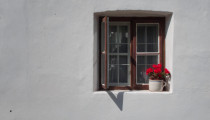 vintage window with red roses white wall 888x544